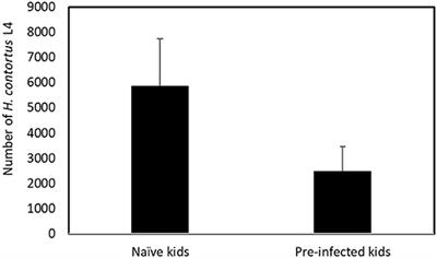 Early Transcriptome Differences Between Pre-Infected and Naïve Kid Goats Infected With Haemonchus contortus